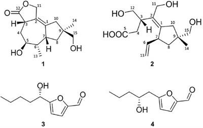 Corrigendum: New Sesquiterpenoids From Plant-Associated Irpex lacteus